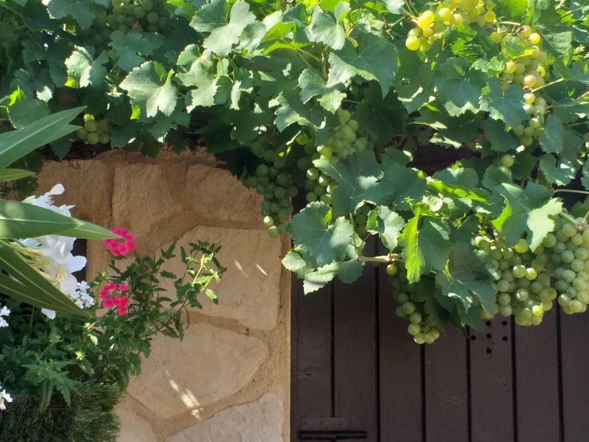 Lou Bagnou Mi-Clos Bagnols-sur-Cèze Kültér fotó